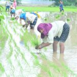 1753019395_54164d346182060fc0c3