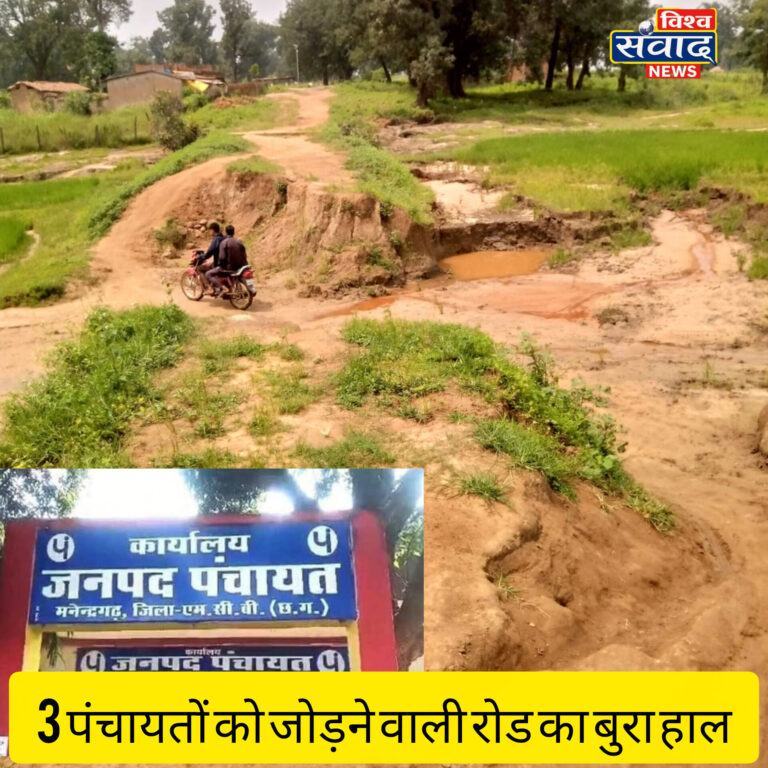 InShot_20250913_153047670